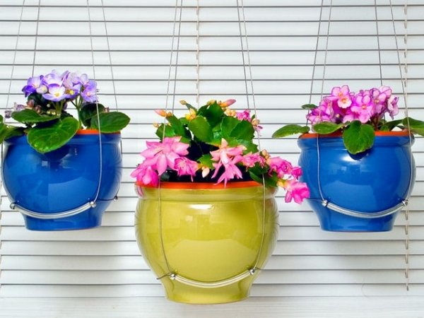  عکس مینیمال گلدان