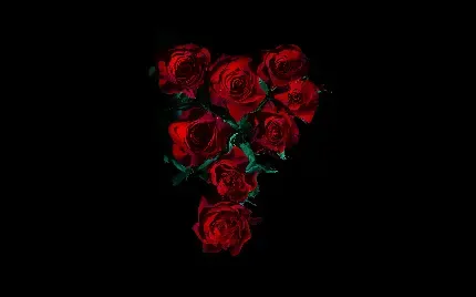  پس زمینه تبلت 4k