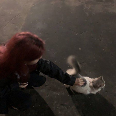  عکس پروفایل دخترونه شاخ برای تینیجرها