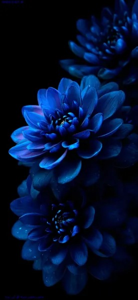  عکس پس زمینه زیبا برای واتساپ