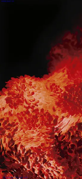  عکس پس زمینه زیبا برای واتساپ