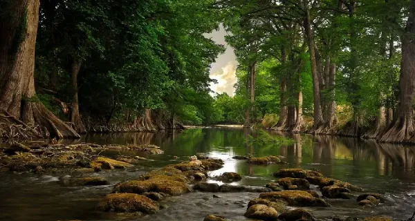 عکس طبیعت برای تصویر زمینه واتساپ و تلگرام