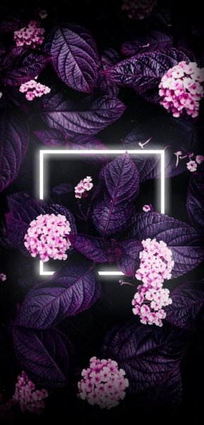  عکس پس زمینه واتساپ بنفش