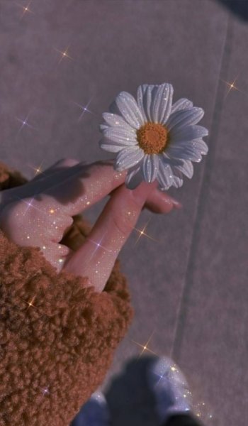 عکس بنفش کیوت ساده