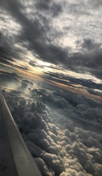 عکس بنفش ساده