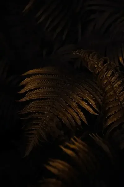 دانلود والپیپر 8k برای موبایل