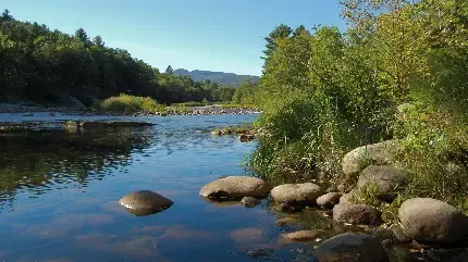 دانلود عکس طبیعت با کیفیت 4k برای کامپیوتر