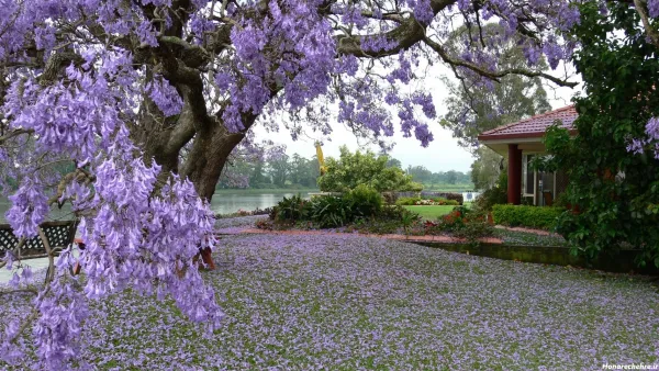  والپیپر با طرح طبیعت زیبا