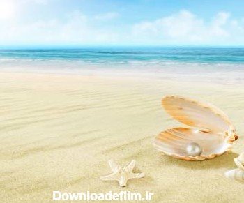  عکس بک گراند صدف