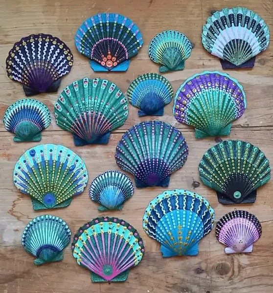  عکس صدف رنگی