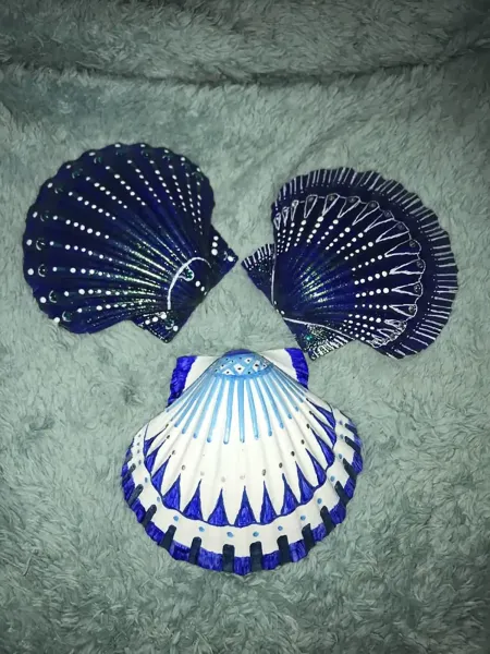  عکس صدف رنگی