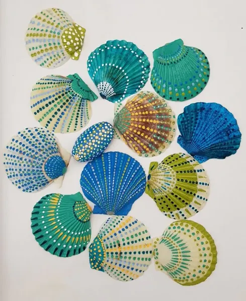  عکس صدف رنگی