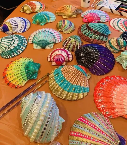  عکس صدف رنگی