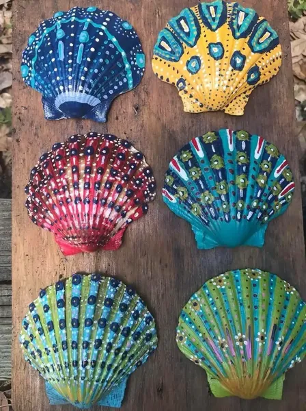  عکس صدف رنگی