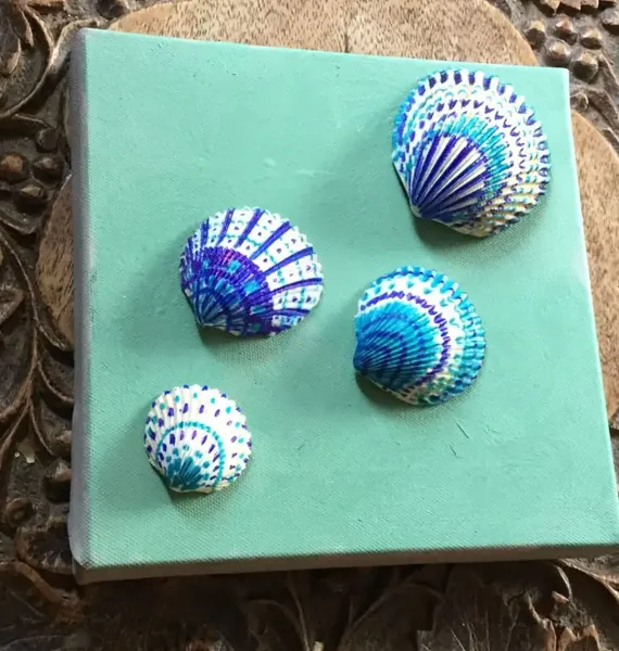  عکس صدف رنگی