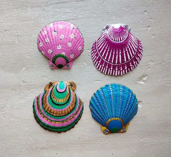  عکس صدف رنگی