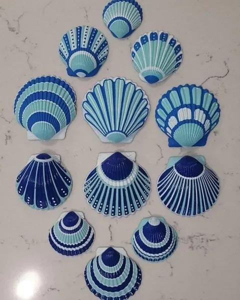  عکس صدف رنگی