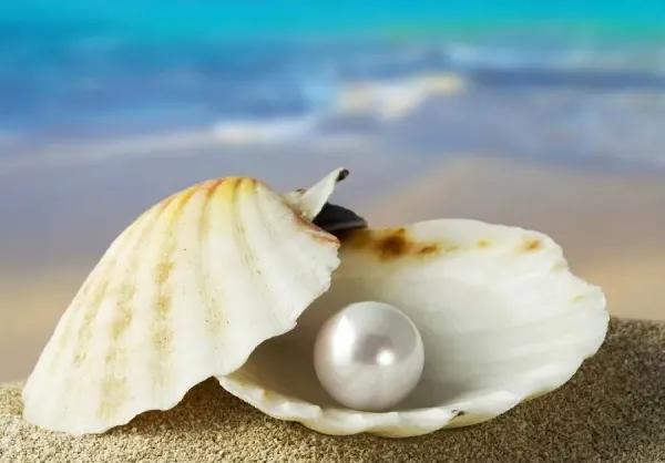  عکس مروارید اصل