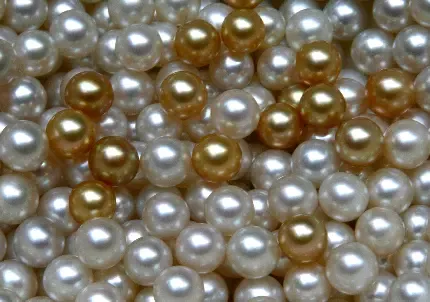  عکس مروارید سیاه برای پروفایل