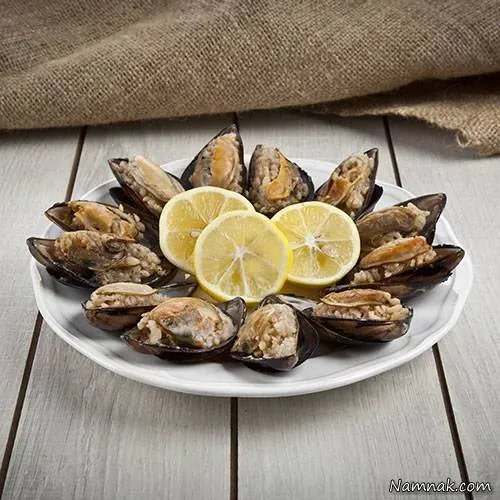  عکس صدف های ترکیه