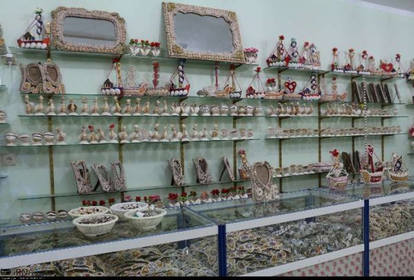  عکس صدف های چابهار