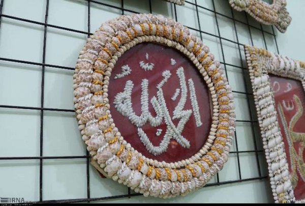  عکس صدف های چابهار