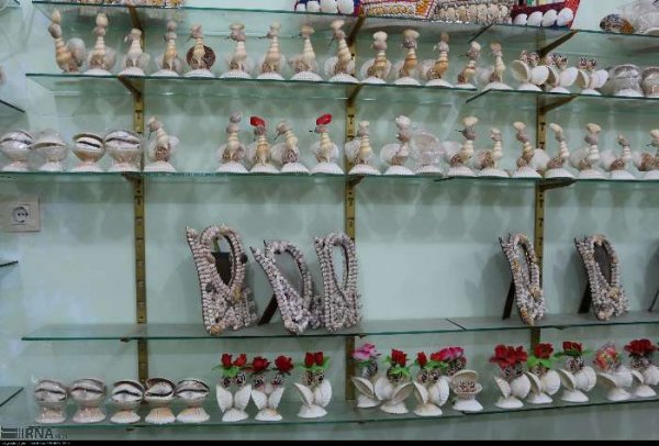  عکس صدف های چابهار