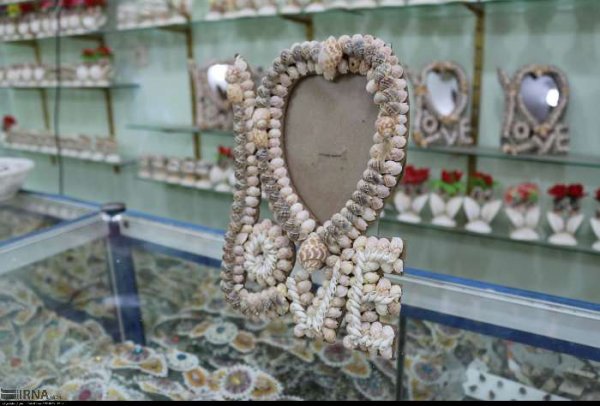  عکس صدف های چابهار