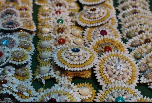  عکس صدف های چابهار