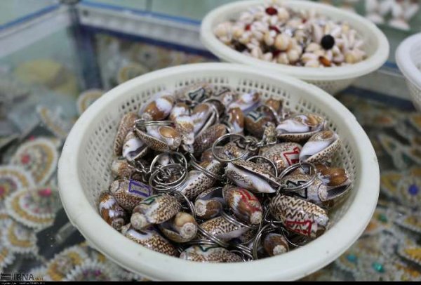  عکس صدف های چابهار