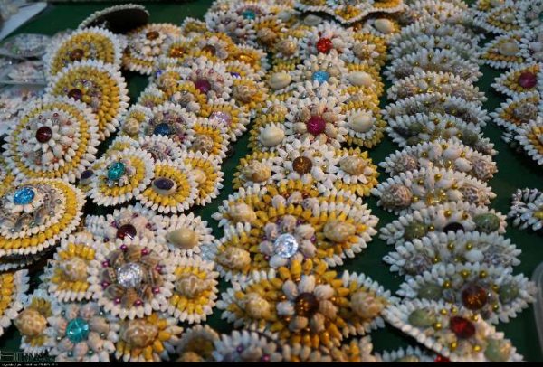  عکس صدف های چابهار