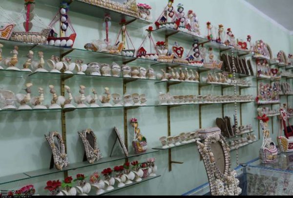  عکس صدف های چابهار