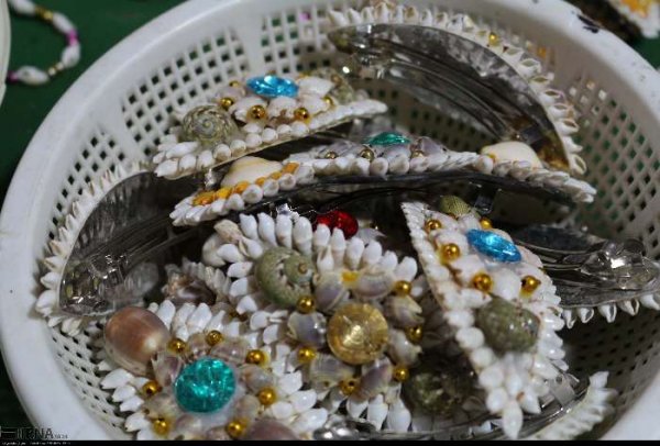  عکس صدف های چابهار