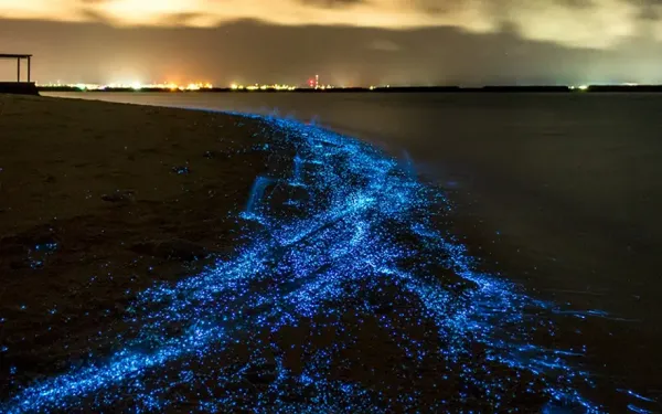  عکس دریای چابهار در شب