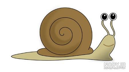  عکس حلزون صدف دار