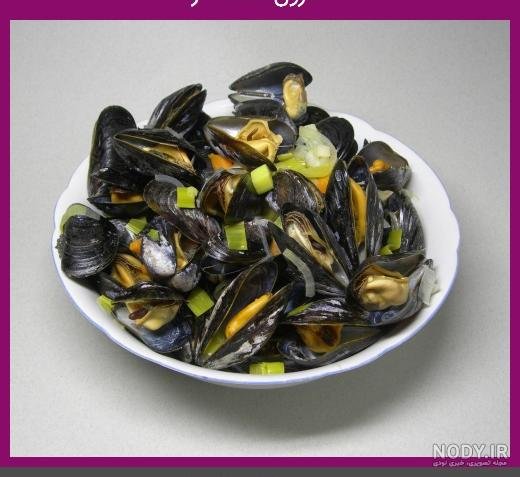  عکس حلزون صدف دار