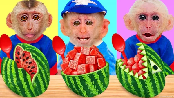 عکس دوتا میمون خنده دار