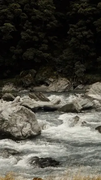  پس زمینه رودخانه طبیعی برای گوشی موبایل