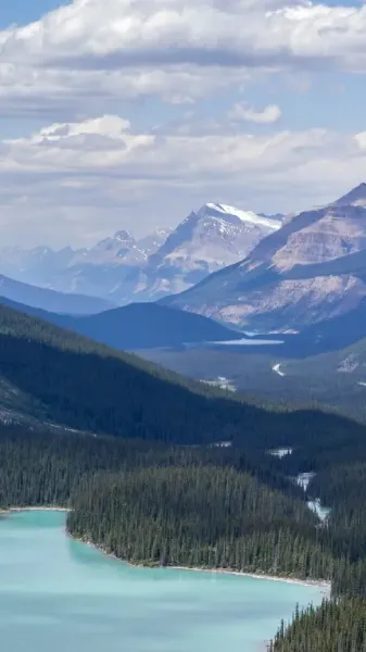  پس زمینه رودخانه طبیعی برای گوشی موبایل