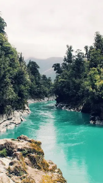  پس زمینه رودخانه طبیعی برای گوشی موبایل