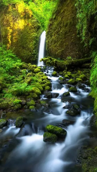  پس زمینه رودخانه طبیعی برای گوشی موبایل