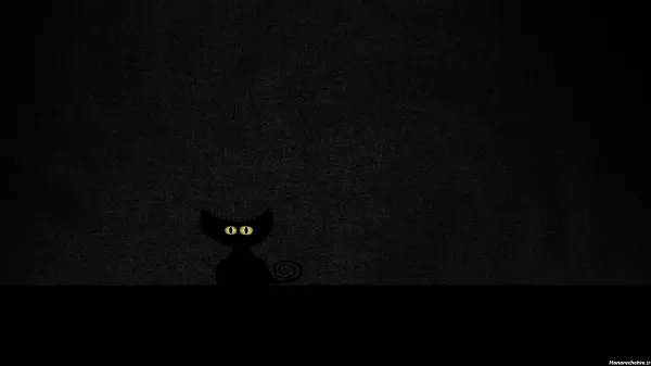 تصویر زمینه گربه سفید