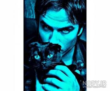  عکس گربه برای پروفایل پسرانه