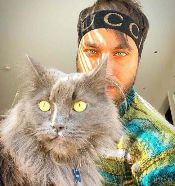  عکس گربه برای پروفایل پسرانه