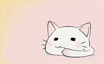  عکس بچه گربه ناز