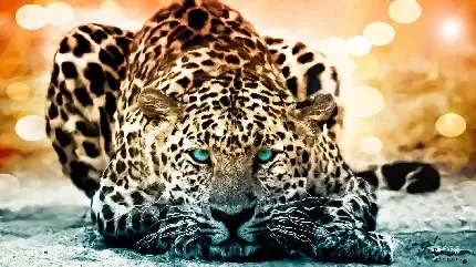  عکس جگوار برای تصویر زمینه