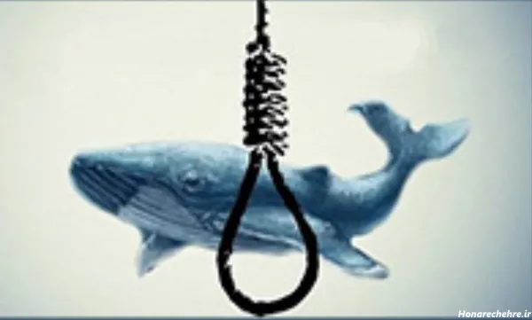  عکس نهنگ برای پروفایل