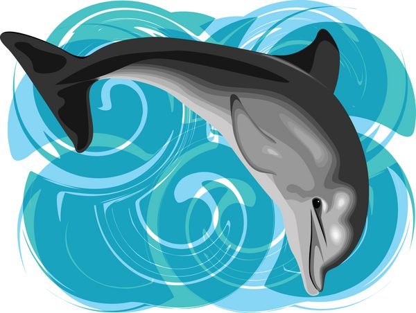  عکس دلفین فانتزی