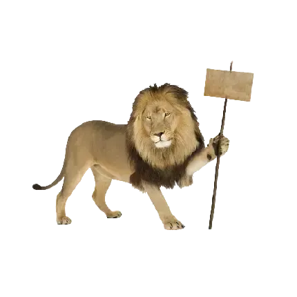  تصویر زمینه شیر برای لپ تاپ