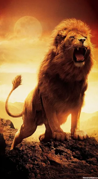  جدید ترین پس زمینه از شیر سلطان جنگل